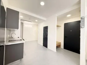 Pronájem bytu 1+kk, Praha - Nové Město, Dittrichova, 55 m2