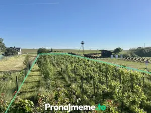 Pronájem - jiné, Šatov, 1759 m2