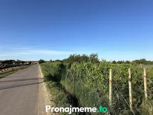 Pronájem - jiné, Šatov, 1759 m2