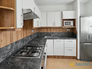 Prodej bytu 1+1, Brno, Absolonova, 38 m2