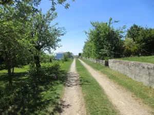 Prodej zahrady, Brno, 269 m2