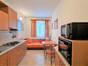 Pronájem bytu 1+1, Praha - Vršovice, Karpatská, 40 m2