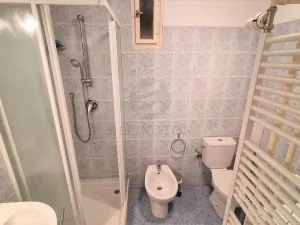 Pronájem bytu 1+1, Praha - Vršovice, Karpatská, 40 m2