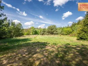 Prodej chaty, Rozsochy, 85 m2