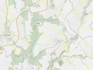 Dražba lesa, Česká Bělá, 2751 m2