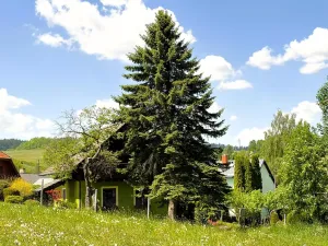 Prodej rodinného domu, Zdíkov, 108 m2