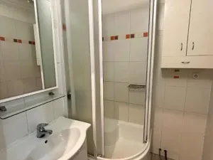Prodej bytu 2+1, Ostrava, Lumírova, 60 m2