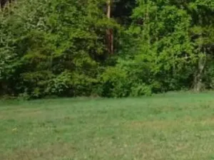 Prodej louky, Vojnův Městec, 9000 m2