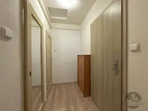 Pronájem bytu 1+kk, Praha - Nusle, 5. května, 30 m2