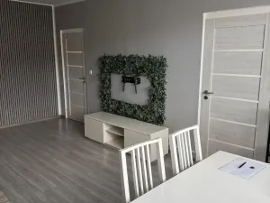 Prodej bytu 3+1, Litvínov - Horní Litvínov, B. Němcové, 63 m2