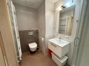 Pronájem bytu 1+kk, Praha - Břevnov, Patočkova, 32 m2