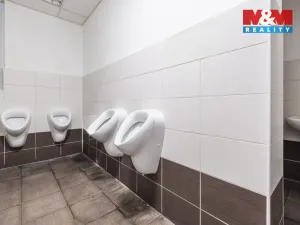 Prodej restaurace, Chomutov, Husova, 308 m2