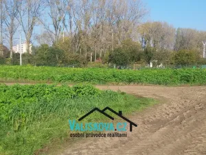 Prodej pole, Hulín, 385 m2