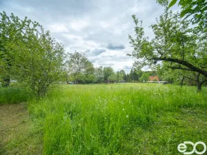 Prodej pozemku pro bydlení, Lešany - Břežany, 1147 m2