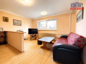 Prodej bytu 1+1, Trhové Sviny, Okružní, 43 m2