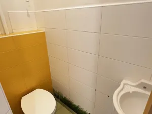 Pronájem obchodního prostoru, Praha - Nusle, Na Pankráci, 24 m2
