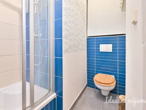 Pronájem bytu 1+1, Brno - Staré Brno, Schovaná, 41 m2