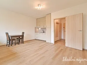 Pronájem bytu 1+kk, Brno, Moldavská, 30 m2