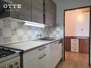 Pronájem bytu 3+1, Plzeň, Nad Úslavou, 67 m2