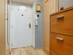 Pronájem bytu 1+1, Plzeň - Jižní Předměstí, Raisova, 30 m2