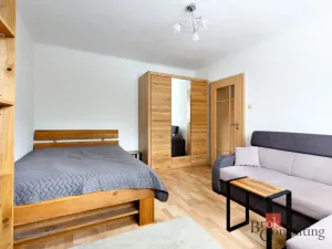 Pronájem bytu 1+1, Plzeň - Jižní Předměstí, Raisova, 30 m2