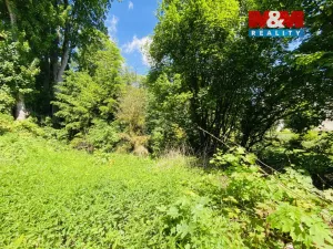 Prodej rodinného domu, Rýmařov - Janovice, Sklepní, 350 m2