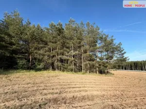 Prodej lesa, Háje, 4000 m2