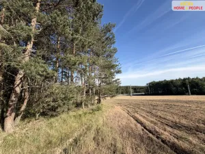 Prodej lesa, Háje, 4000 m2