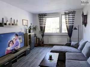 Pronájem bytu 2+1, Duchcov, V Domkách, 60 m2