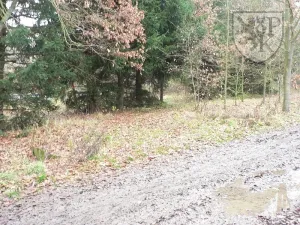 Prodej pozemku, Blatná, Na Příkopech, 3100 m2