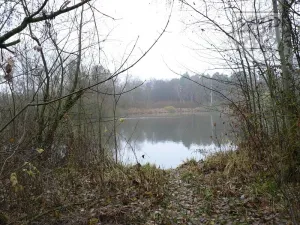 Prodej pozemku, Blatná, Na Příkopech, 3100 m2