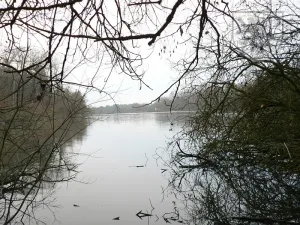 Prodej pozemku, Blatná, Na Příkopech, 3100 m2