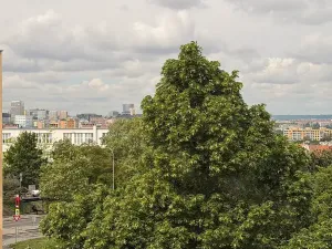 Prodej bytu 3+kk, Praha - Záběhlice, Holčovická, 73 m2