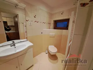 Pronájem bytu 1+1, Opava - Předměstí, Polní, 46 m2