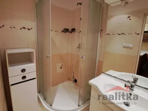 Pronájem bytu 1+1, Opava - Předměstí, Polní, 46 m2