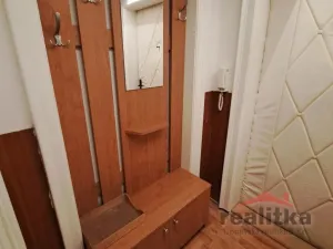 Pronájem bytu 1+1, Opava - Předměstí, Polní, 46 m2