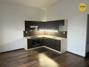 Pronájem bytu 2+kk, Opava, Hviezdoslavova, 52 m2