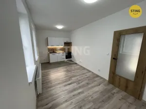 Pronájem bytu 1+kk, Opava, Hviezdoslavova, 25 m2