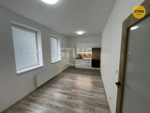 Pronájem bytu 1+kk, Opava, Hviezdoslavova, 25 m2