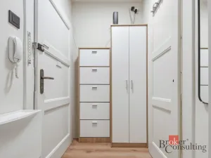 Prodej bytu 1+kk, Praha - Vinohrady, náměstí Jiřího z Lobkovic, 44 m2