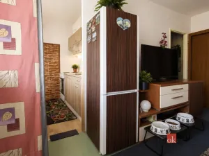 Prodej bytu 1+kk, Pardubice - Polabiny, Lidická, 35 m2