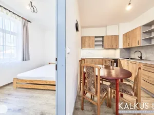 Prodej vily, Svoboda nad Úpou, Nový svět, 490 m2