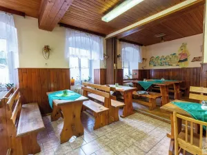 Prodej chalupy, Ludvíkov, 510 m2