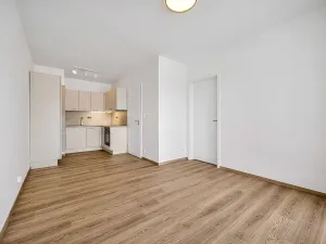 Prodej bytu 2+kk, Praha - Vysočany, Pod Harfou, 42 m2