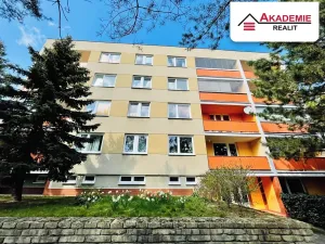 Pronájem bytu 2+1, Brno, Ulrychova, 58 m2