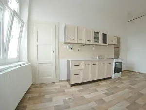 Pronájem bytu 2+1, Plzeň, Americká, 97 m2