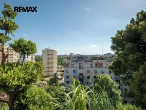 Prodej bytu 2+kk, Praha - Žižkov, Pod lipami, 45 m2