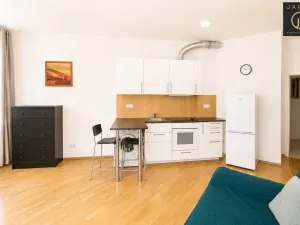 Pronájem bytu 1+kk, Praha - Libeň, Lihovarská, 25 m2