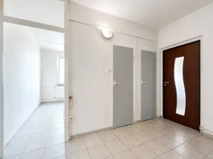Prodej bytu 2+1, Chomutov, Pod Břízami, 51 m2