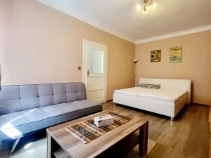 Pronájem bytu 2+kk, České Budějovice, Čechova, 55 m2